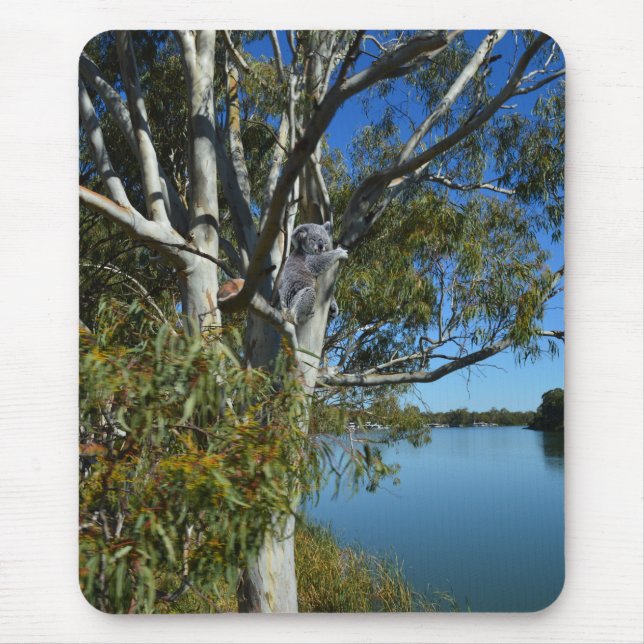 Koala Bear Sleeping In Gum Tree, Mouse Mat (Front)