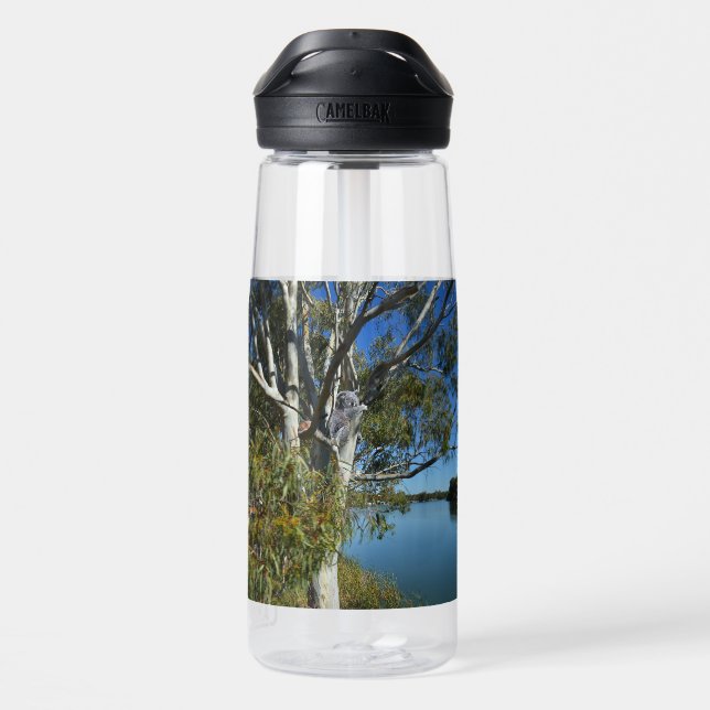 Koala Bear Sleeping In Gum Tree, Water Bottle (Back)