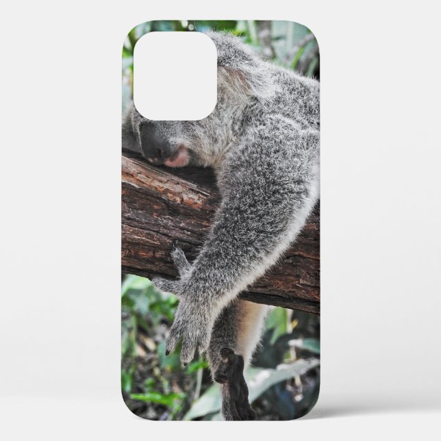 KOALA BEAR SLEEPING ON TREE Case-Mate iPhone CASE (Back)