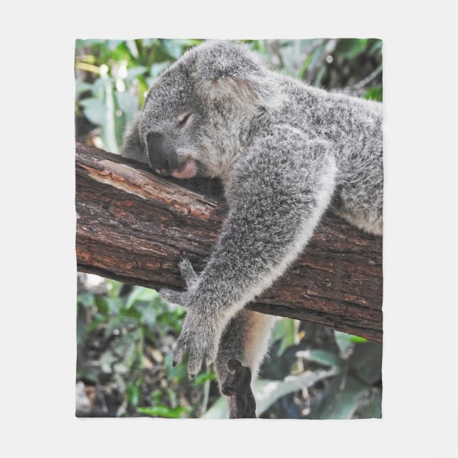 KOALA BEAR SLEEPING ON TREE FLEECE BLANKET (Front)