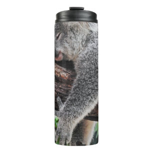 KOALA BEAR SLEEPING ON TREE THERMAL TUMBLER