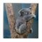 Koala Bear Sleeps Hugging A Tree