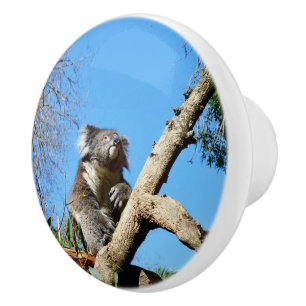 Koala Bear The Meaning Of Life,  Ceramic Knob