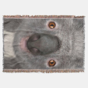 Koala Bear Throw Blanket