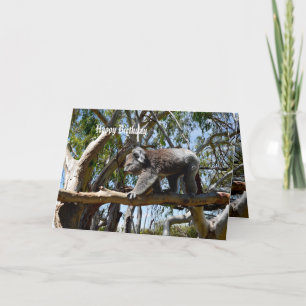 Koala Bear Tight Rope Walker, Birthday Card