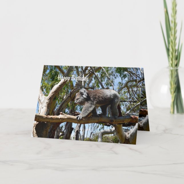 Koala Bear Tight Rope Walker, Birthday Card (Front)