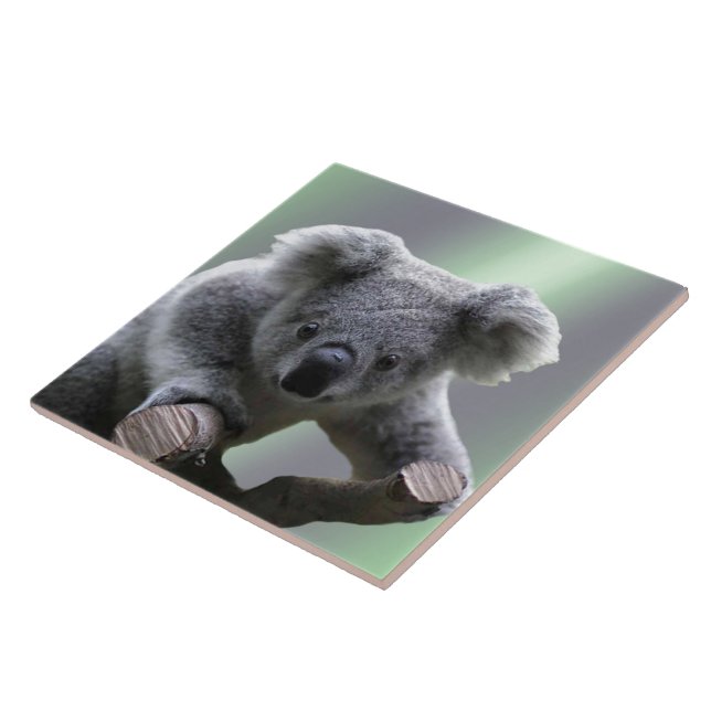 Koala Bear Tile (Side)