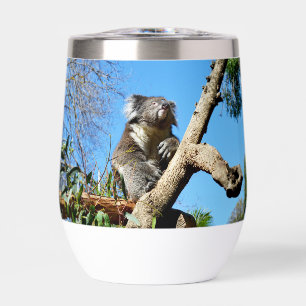 Koala Bear Time To Reflect On Life,
