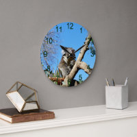 Koala Bear Time To Reflect On Life, 