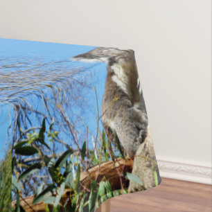 Koala Bear Time To Reflect On Life, Tablecloth