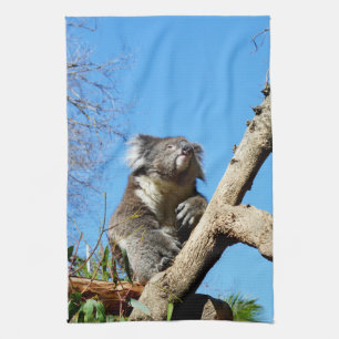 Koala Bear Time To Reflect On Life,  Tea Towel