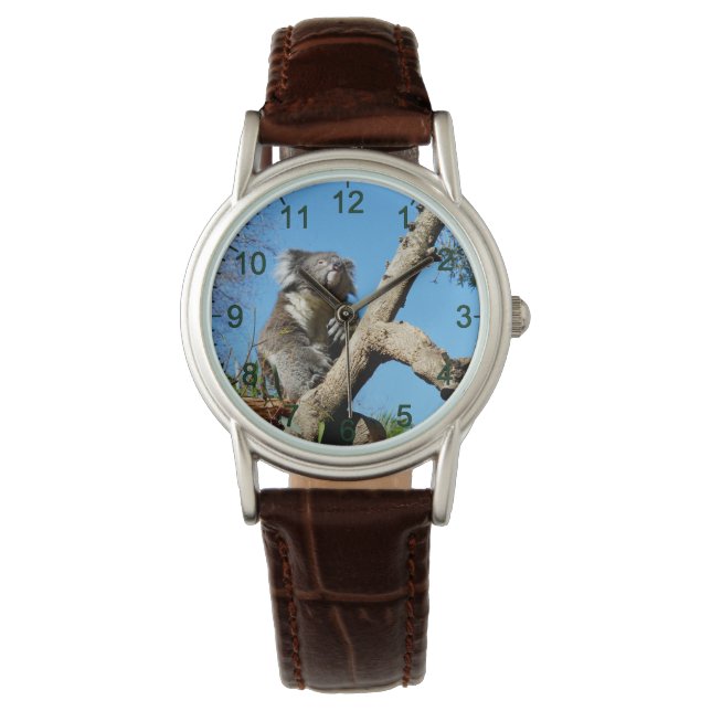 Koala Bear Time To Reflect On Life,  Watch (Front)