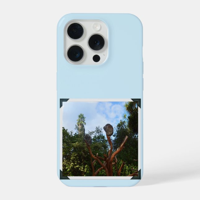 Koala Bears Asleep In Trees, iPhone Case (Back)