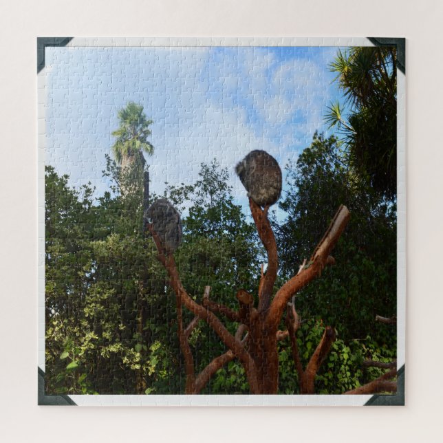 Koala Bears Asleep In Trees, Jigsaw Puzzle (Vertical)