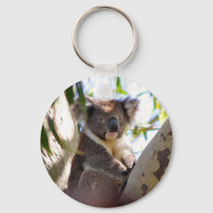 Koala Bears Aussi Outback Destiny Nature Key Ring