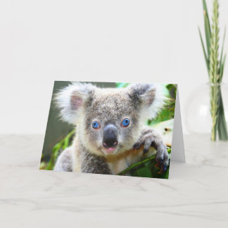 Koala Bears Card