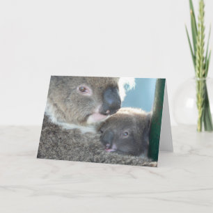 Koala Bears Card