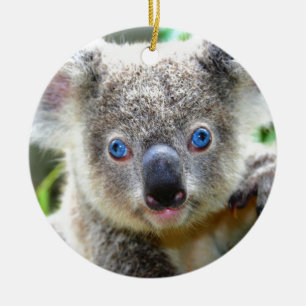 Koala Bears Ceramic Tree Decoration