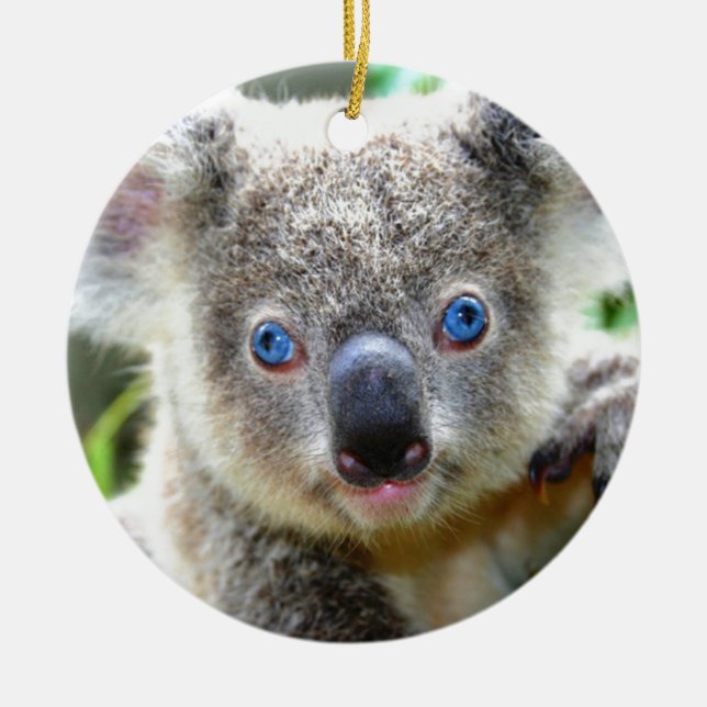Koala Bears Ceramic Tree Decoration (Front)