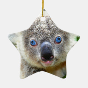 Koala Bears Ceramic Tree Decoration