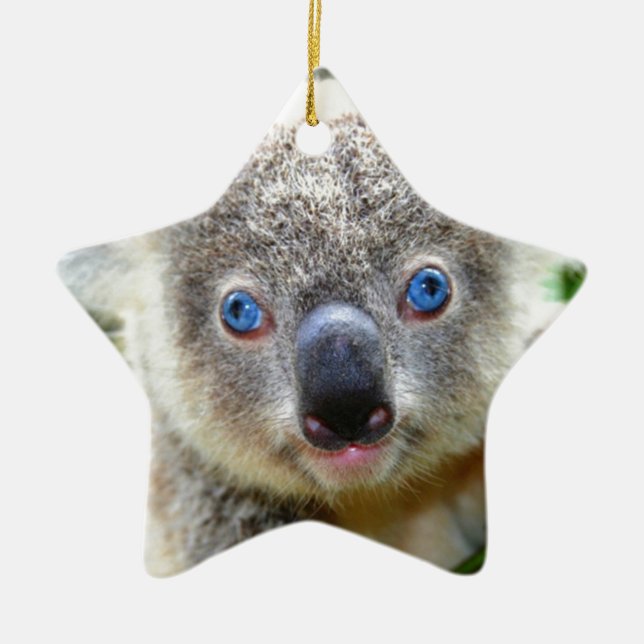 Koala Bears Ceramic Tree Decoration (Front)
