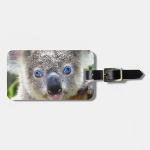 Koala Bears Luggage Tag