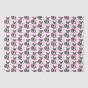 Koala Bears on Pink Gingham  Tissue Paper