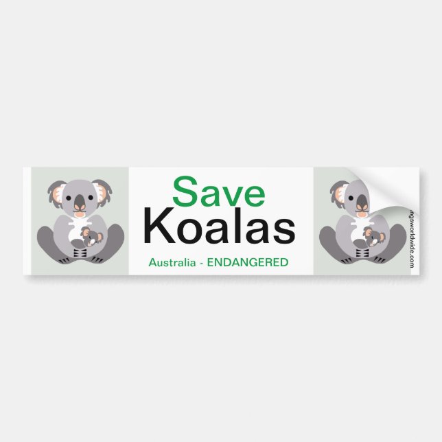 Koala- Bumper Sticker (Front)