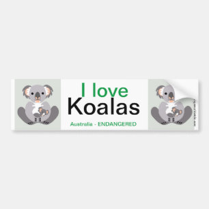 Koala- Bumper Sticker