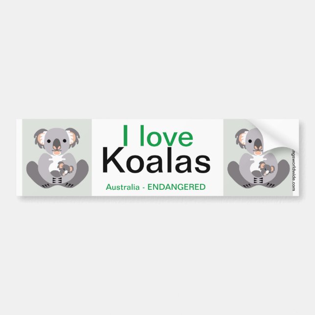 Koala- Bumper Sticker (Front)
