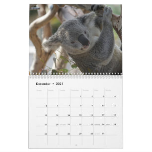 Koala Calendar