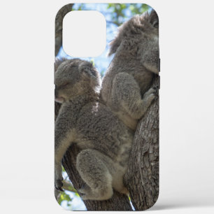 Koala iPhone 12 Pro Max Case