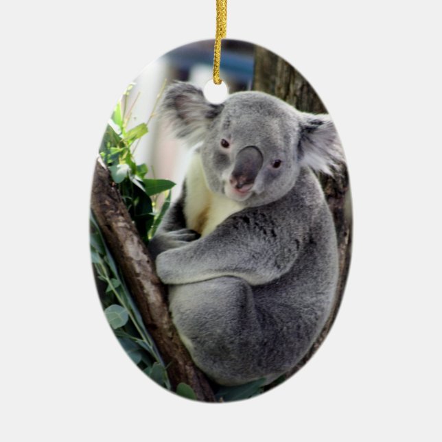 Koala Christmas Ceramic Tree Decoration (Front)