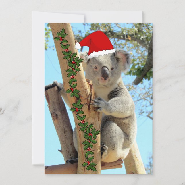 Koala Christmas Flat Card (Front)