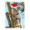 Koala Christmas Flat Card
