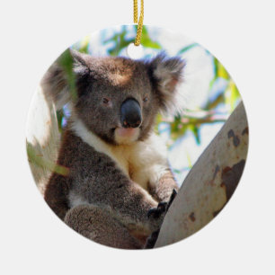 Koala Christmas Ornament