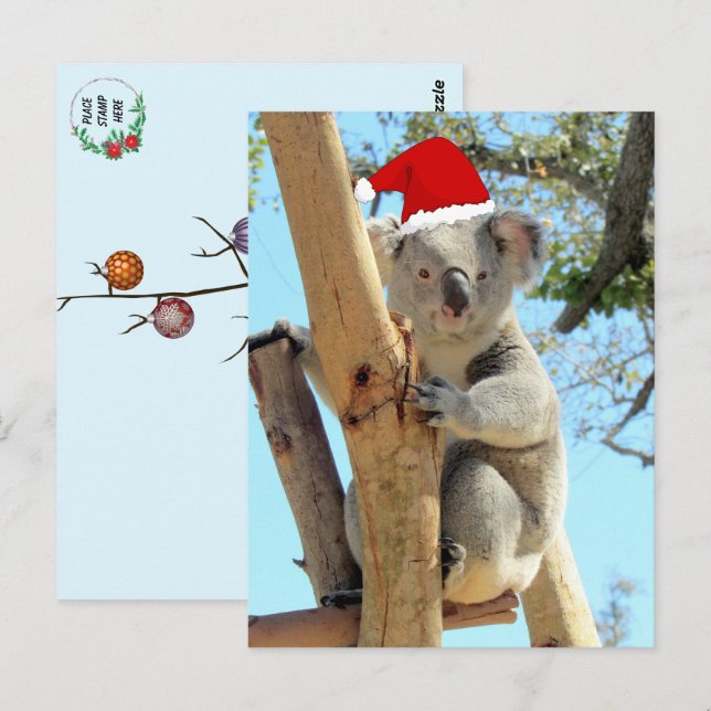 Koala Christmas Postcard (Front/Back)