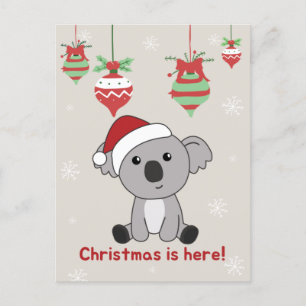 Koala Christmas Snow Winter Animals Koalas Holiday