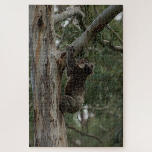 Koala Climbing Tree Australia, 1014 pieces Jigsaw Puzzle