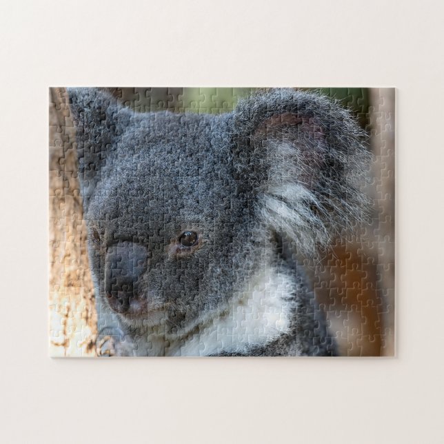Koala Close Up, Jigsaw Puzzle (Horizontal)