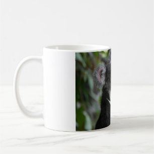 Koala Coffee Mug