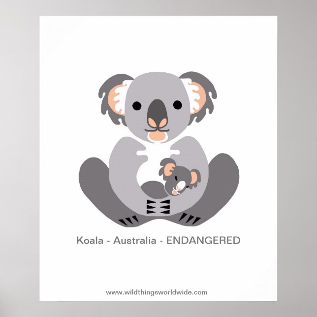 KOALA - Conservation - Endangered animal - Poster (Front)
