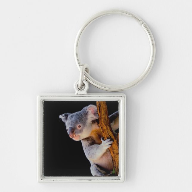 Koala Cute in Tree Grey Key Ring (Front)
