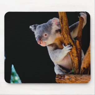 Koala Cute in Tree Grey Mouse Mat