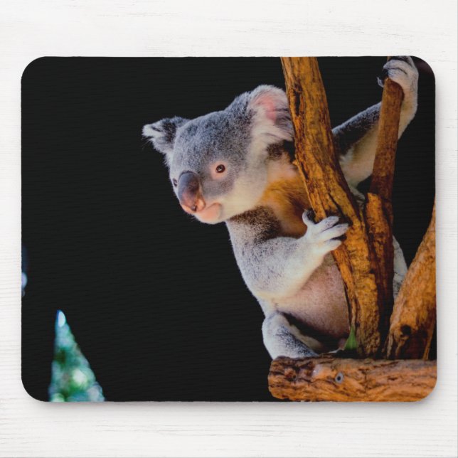 Koala Cute in Tree Grey Mouse Mat (Front)