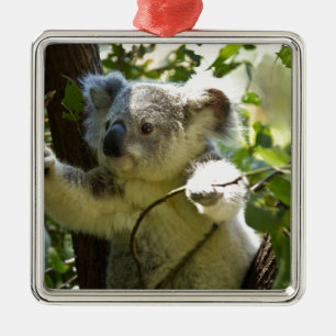 Koala cutie metal tree decoration