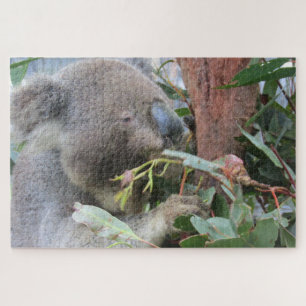koala eating jigsaw puzzle