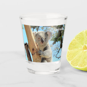 Koala from Down Under - Australia Shot Glass