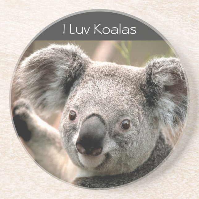 Koala, I Luv Koalas Coaster (Front)