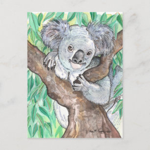 Koala in Eucalyptus Tree Painting Postcard